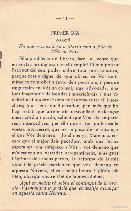 11 novena 5-2