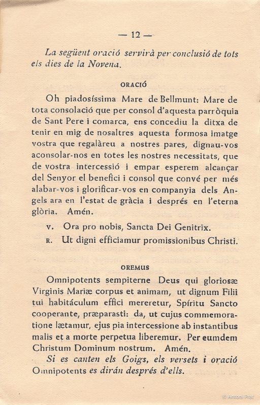 13 novena 6