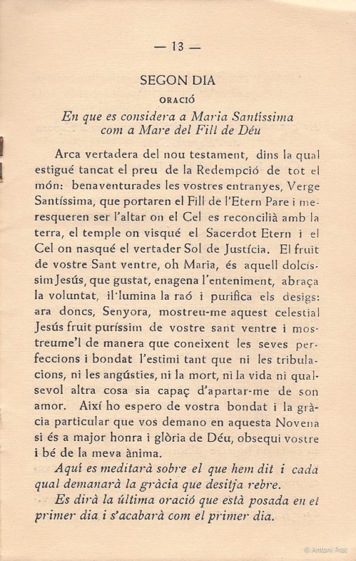 13 novena 6-2
