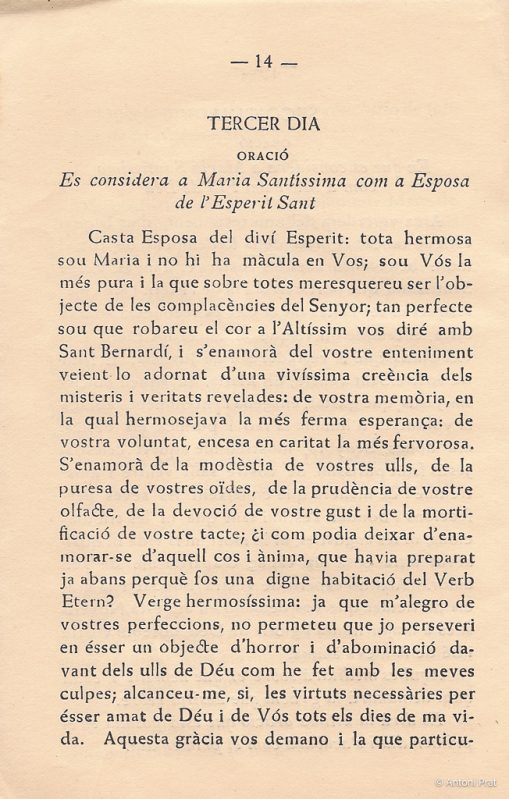 15 novena 7