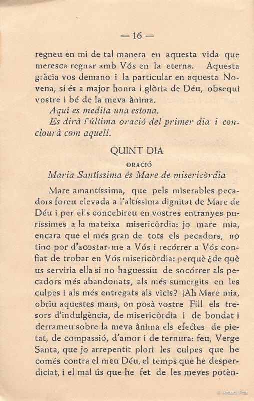 17 novena 8