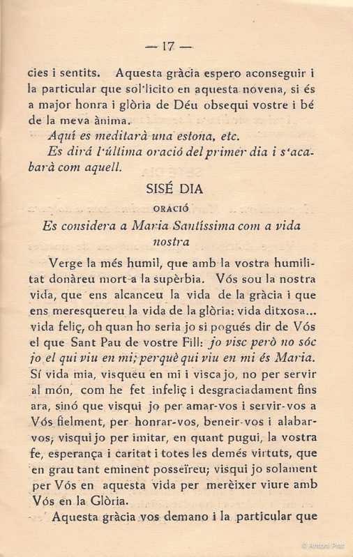 17 novena 8-2