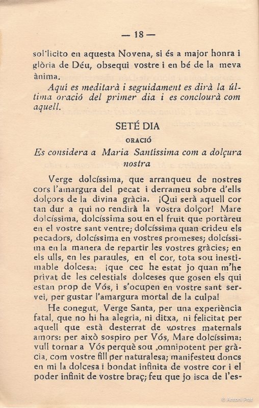 19 novena 9