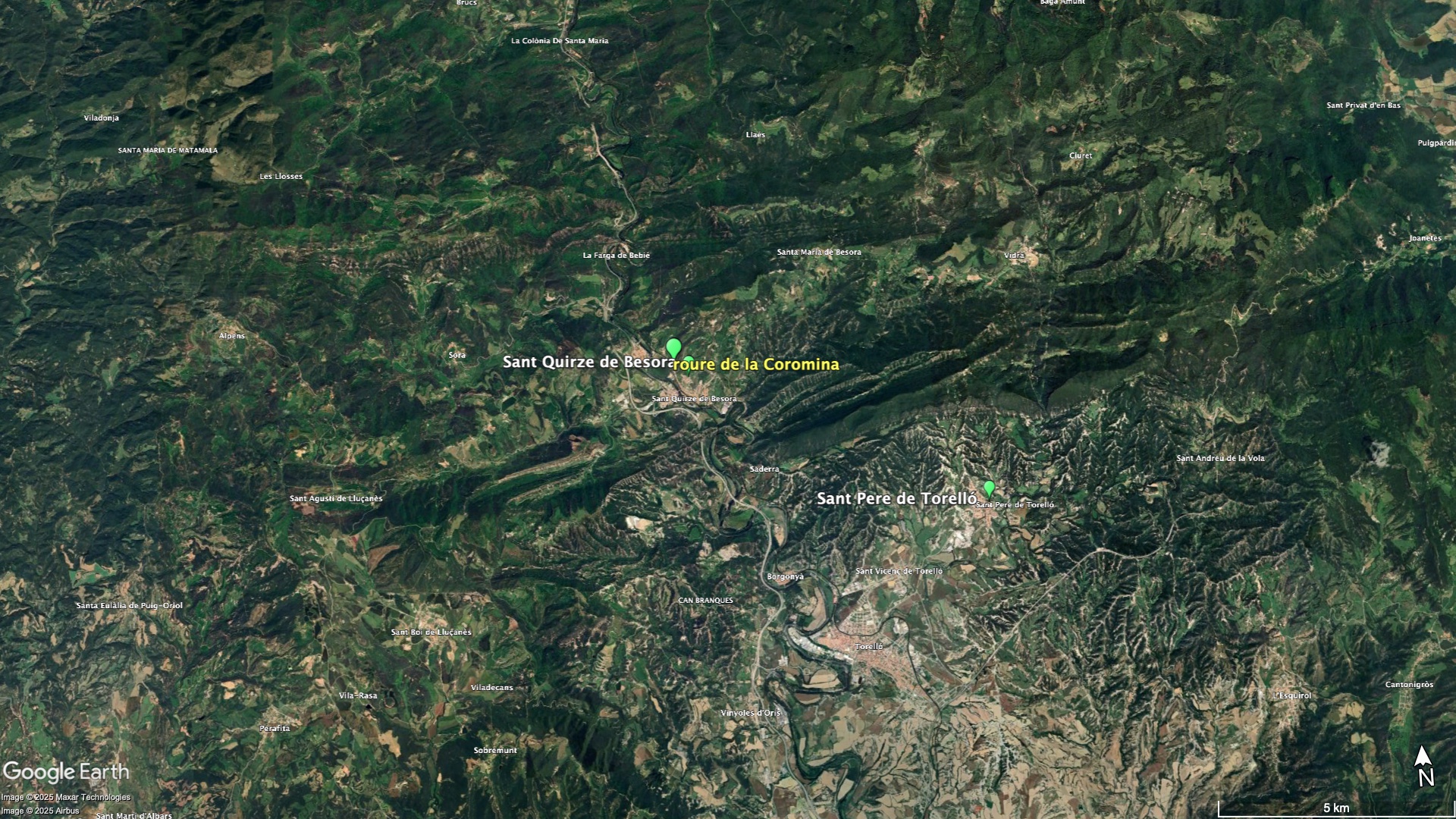 roure Coromina lluny