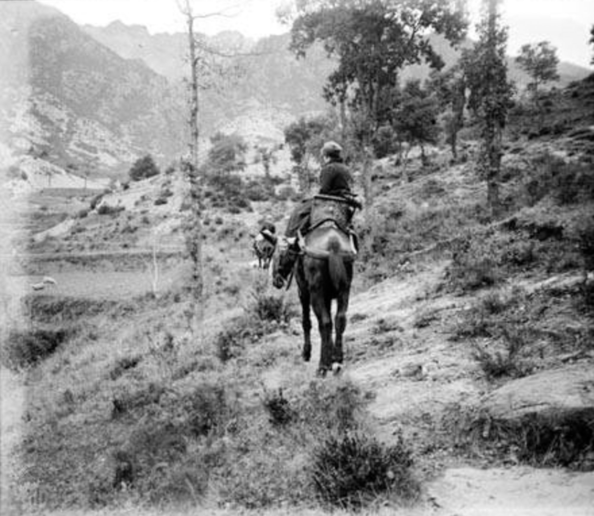 Autor: Josep Torent i Garrigoles, entre 1895 i 1917