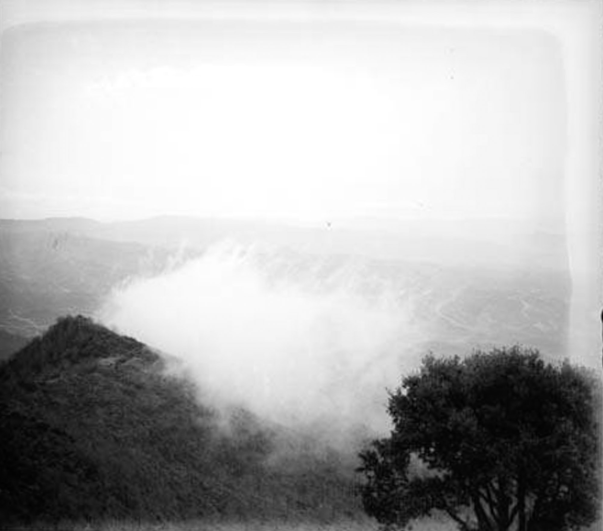 Paisatge_amb_un_arbre_i_boira_al_vessant_de_la_serra_de_Bellmunt