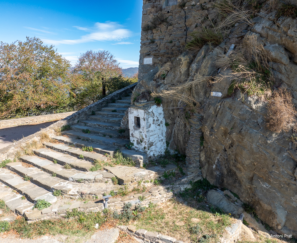 DJI_0968