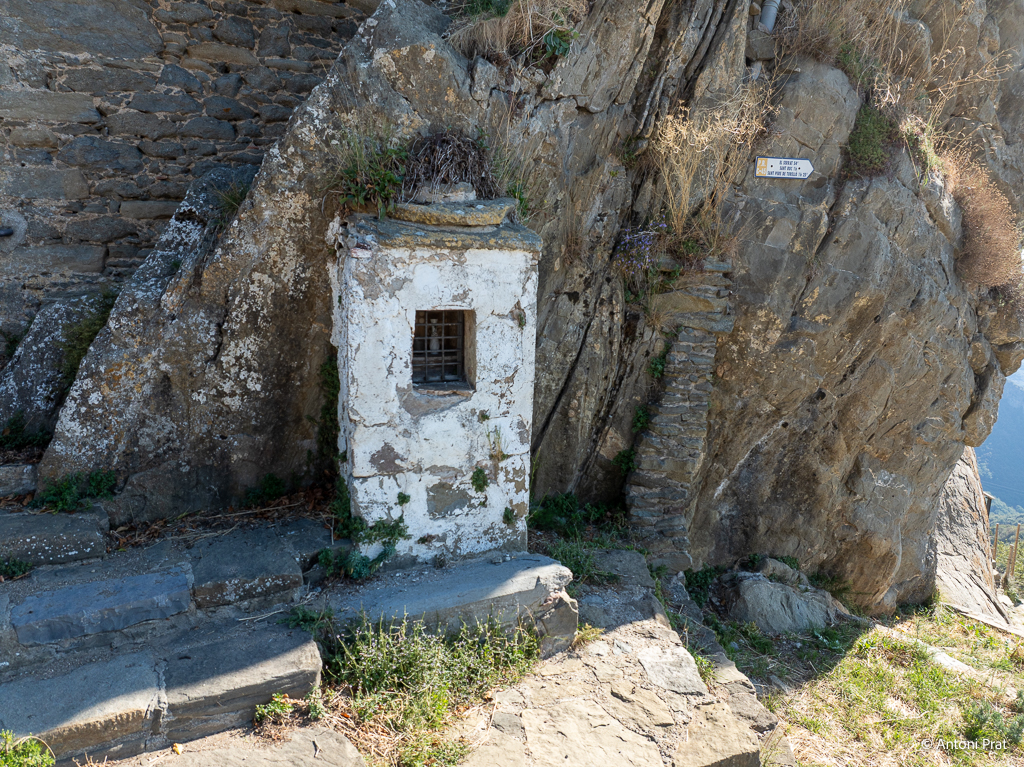 DJI_0969