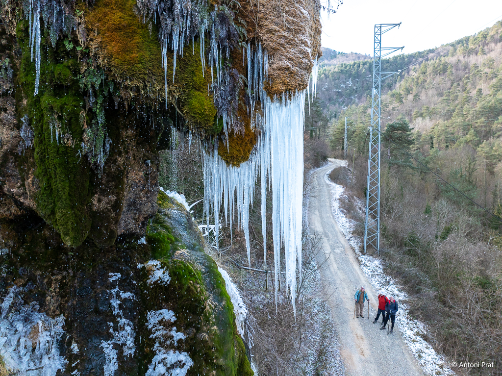 DJI_0212
