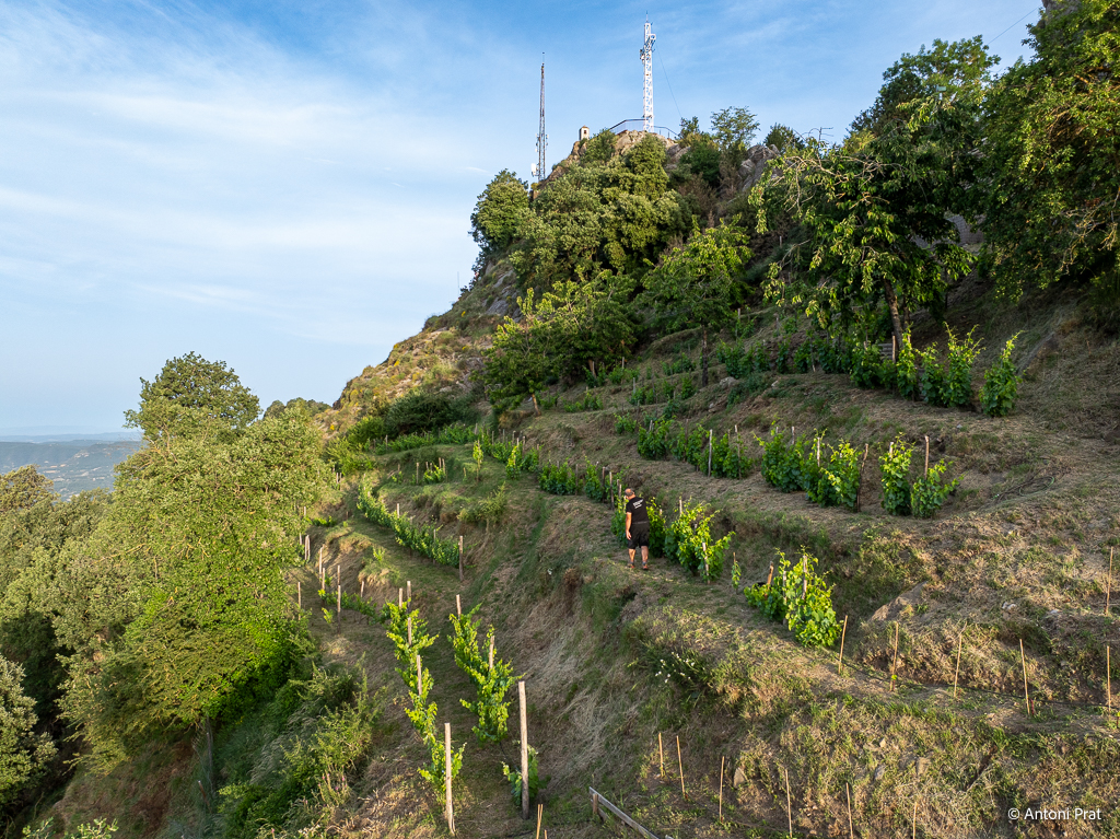 DJI_0627