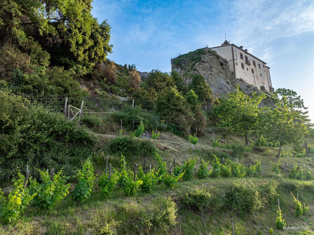DJI_0654
