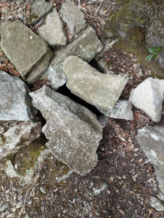 810098e4-94e2-4413-8b04-518e632e35bf