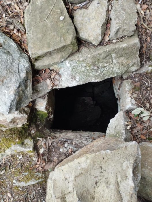 a2669d17-c6b1-4239-8f18-8df961206a77