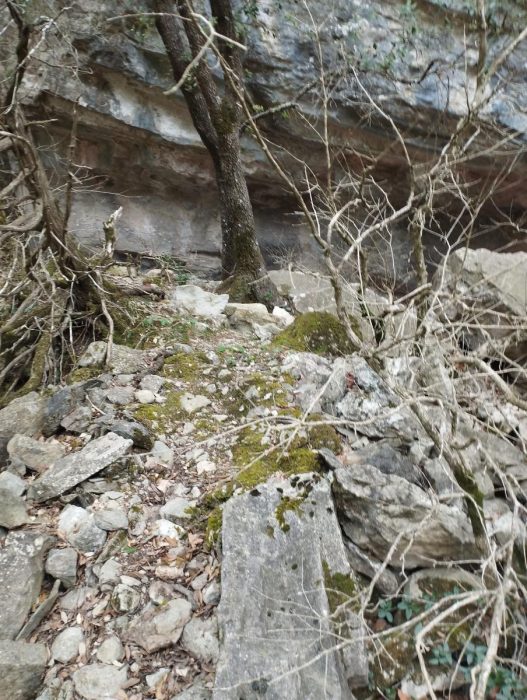 adf196a0-91a2-439d-9164-b1d24c71792c