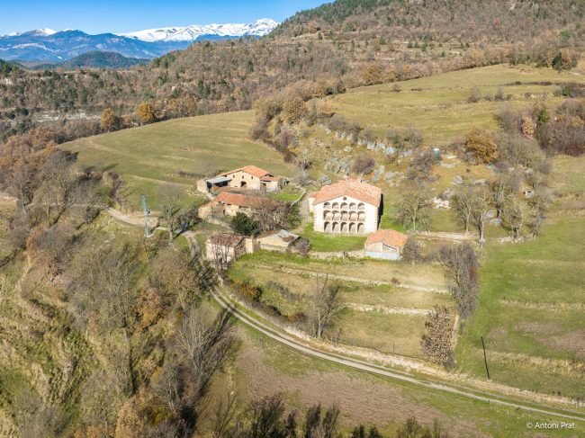 DJI_0135