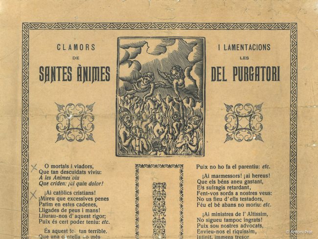 Camors animes sense-2