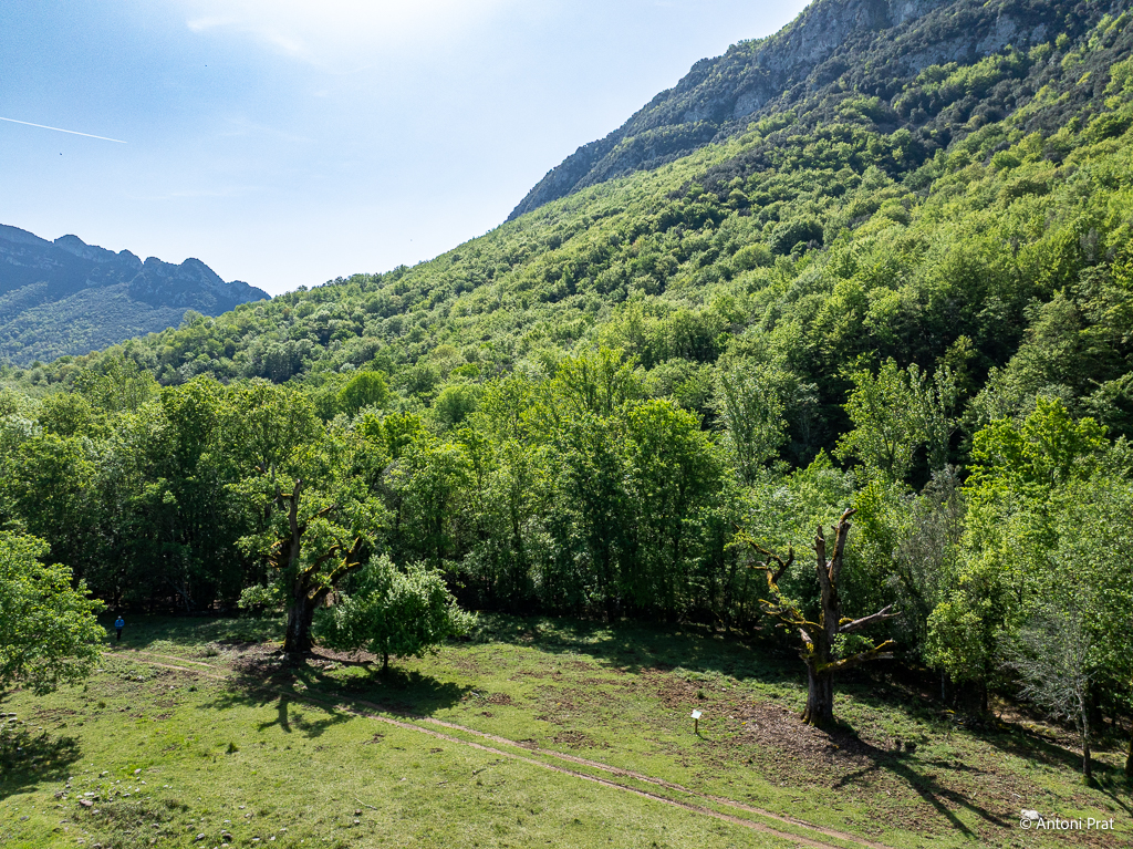 DJI_0230