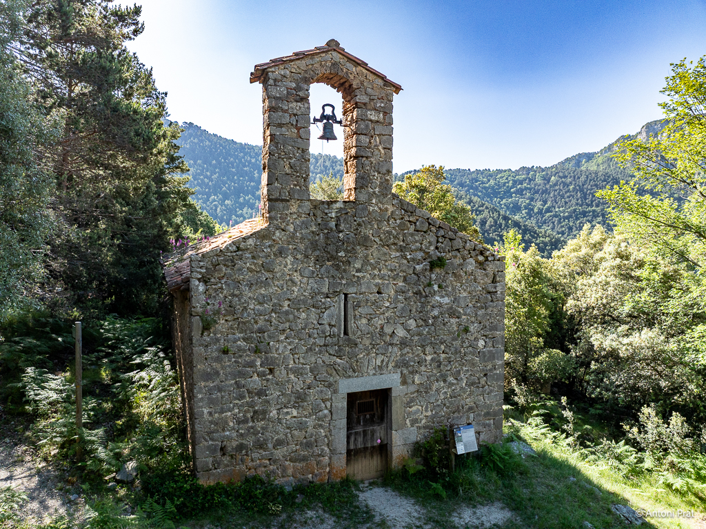 DJI_0484
