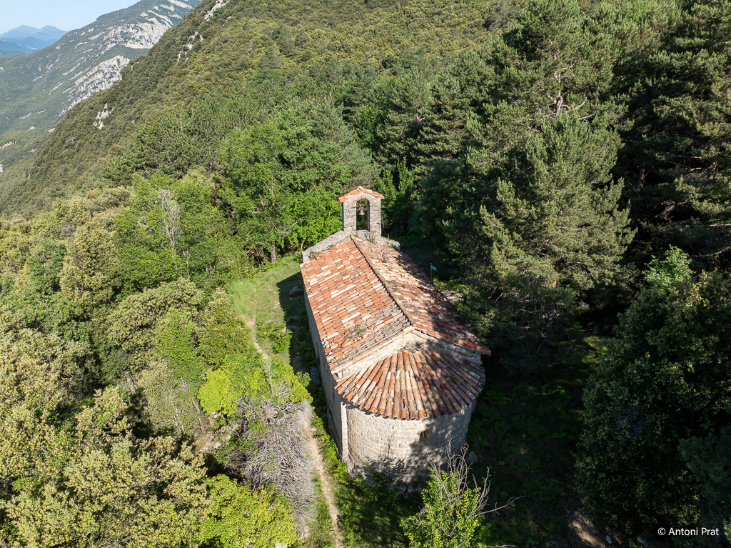 DJI_0498