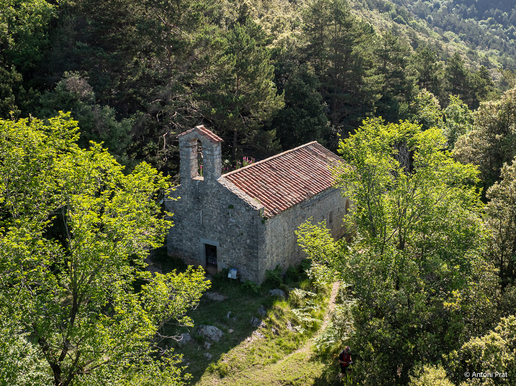 DJI_0499