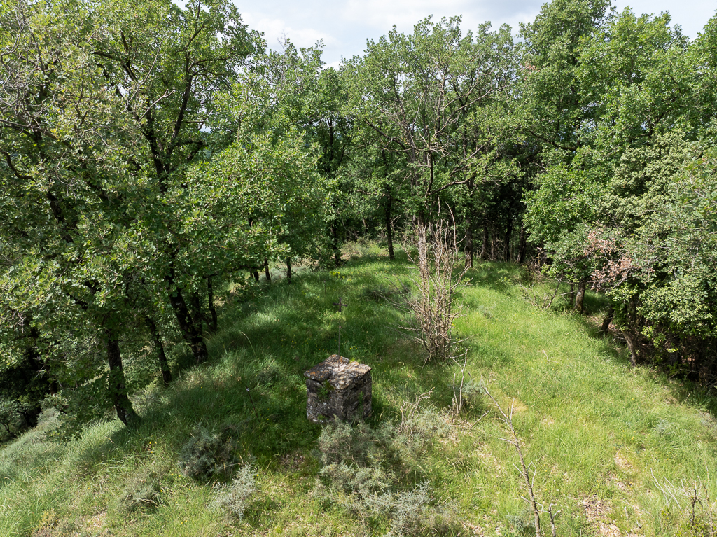 DJI_0527