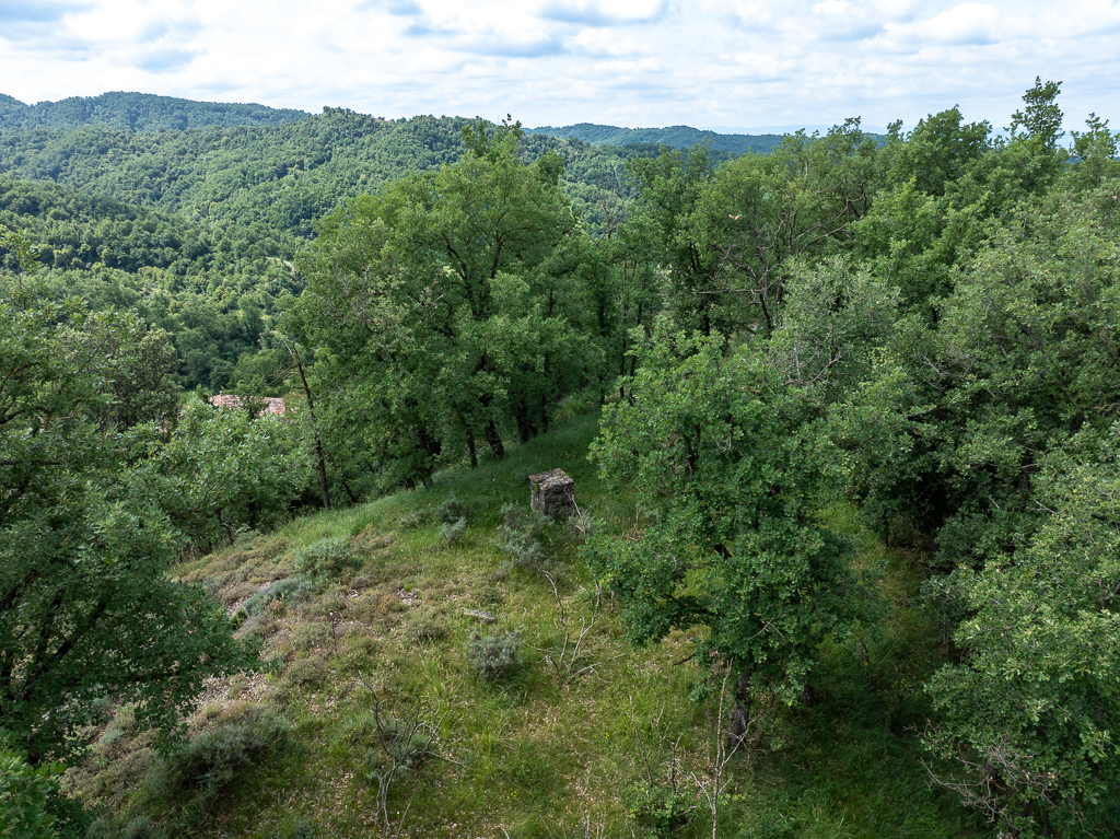 DJI_0530