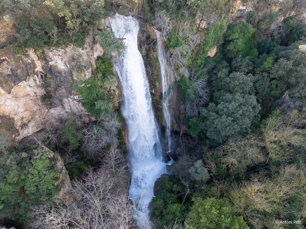 DJI_0229