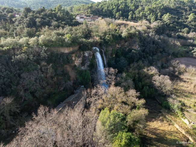 DJI_0233