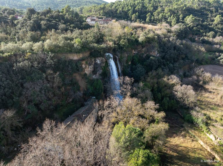 DJI_0233