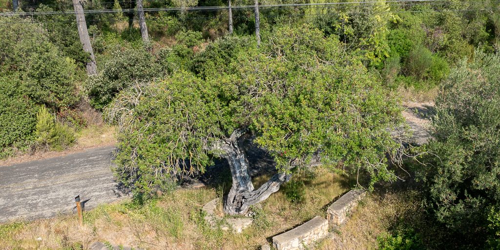 DJI_0796