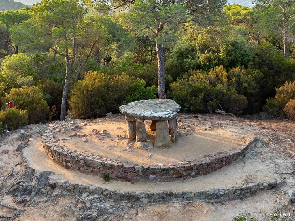 DJI_0818