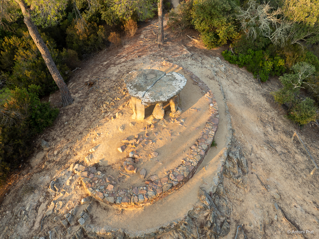 DJI_0825