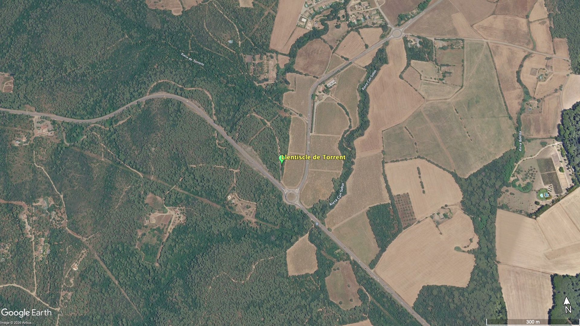 Llentiscle de Torrent aprop