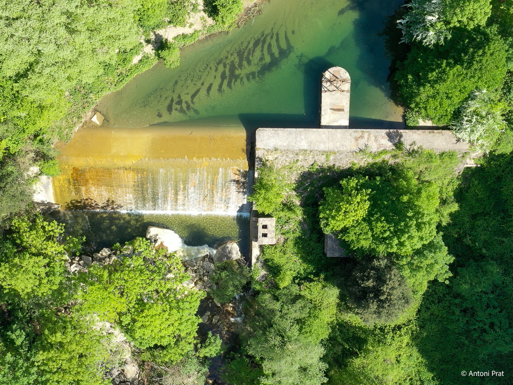 DJI_0844