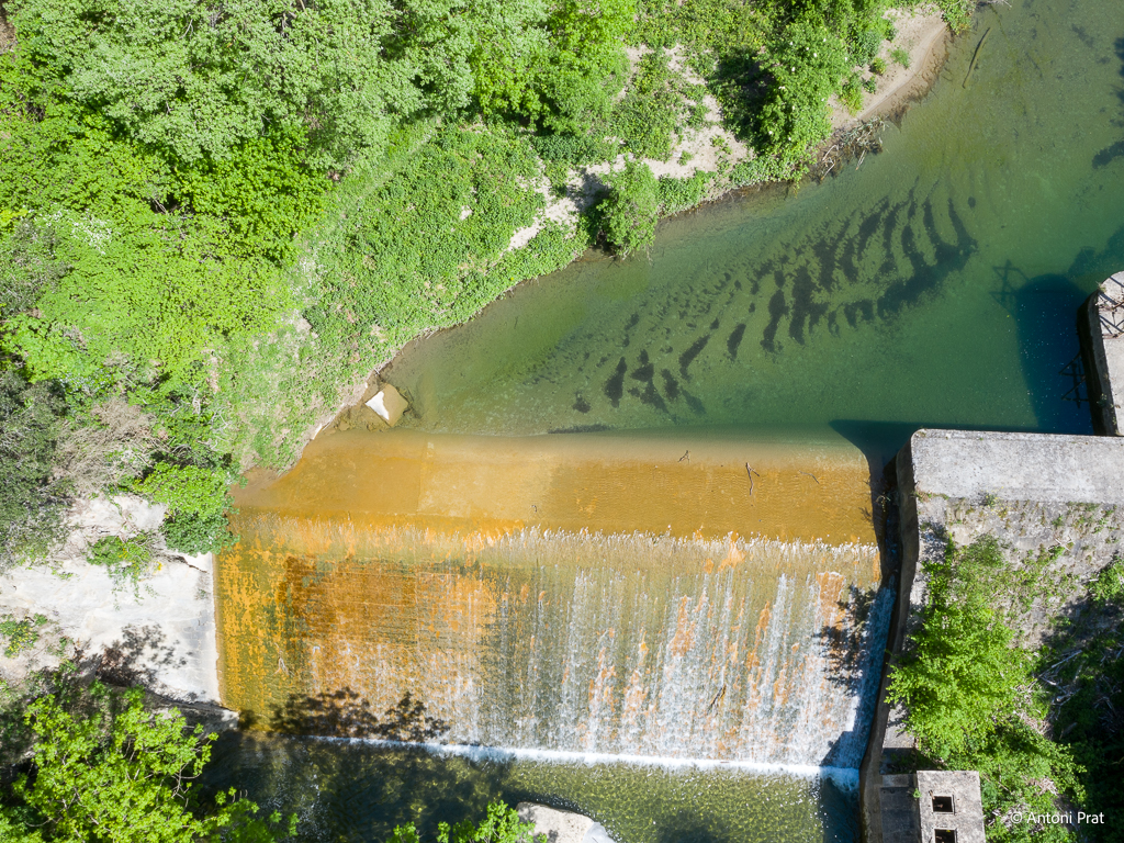 DJI_0851