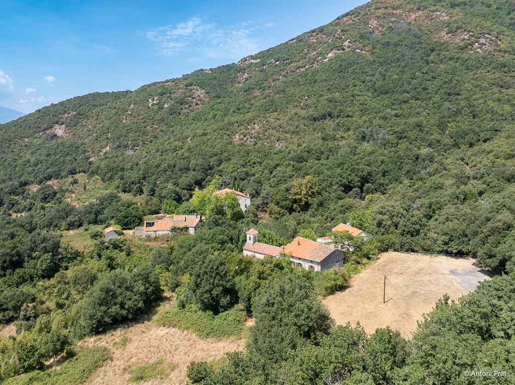 DJI_0883