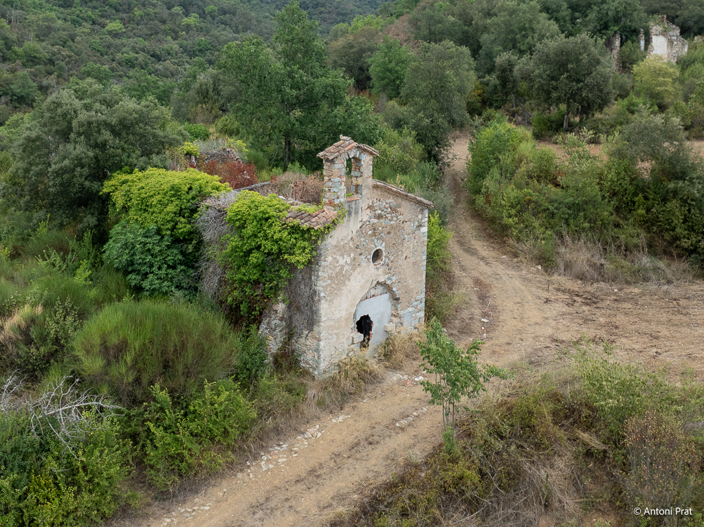 DJI_0911