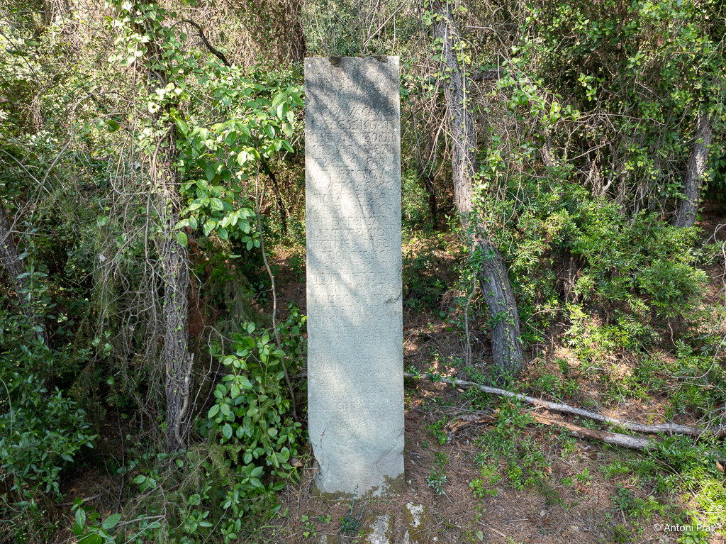 DJI_0934