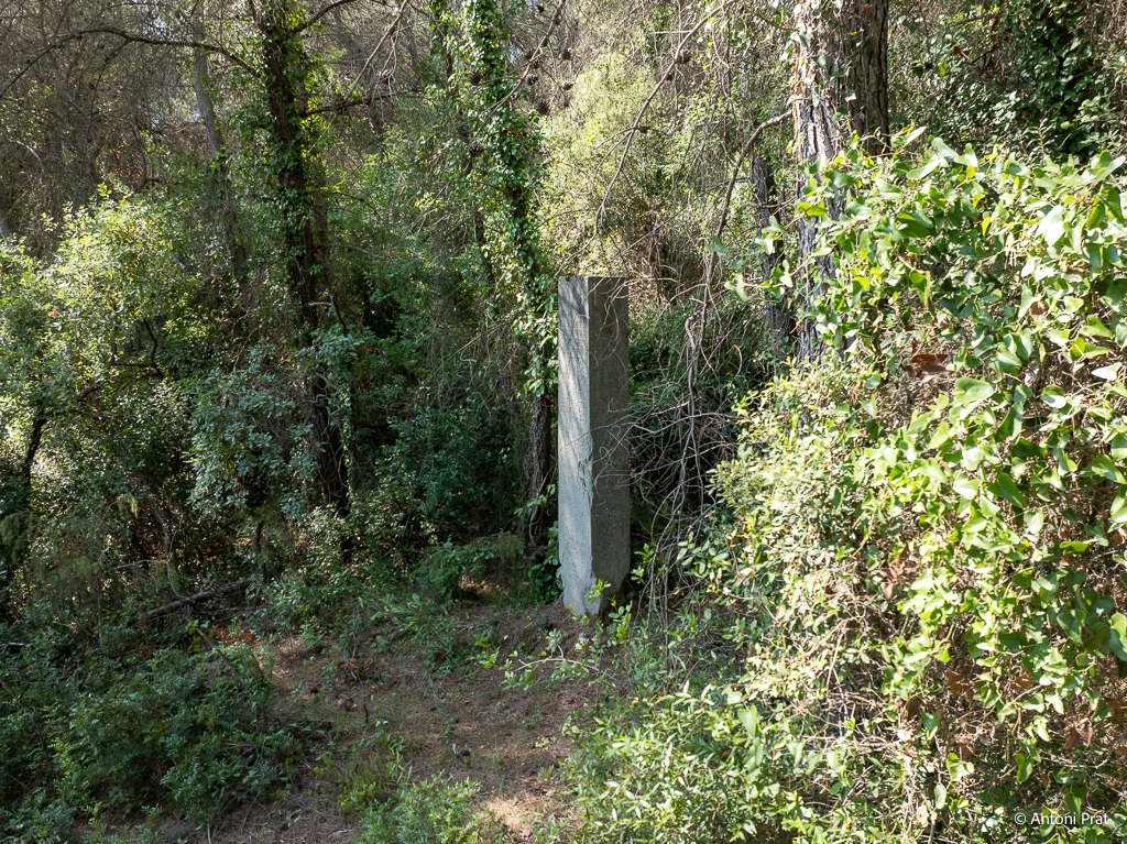 DJI_0936