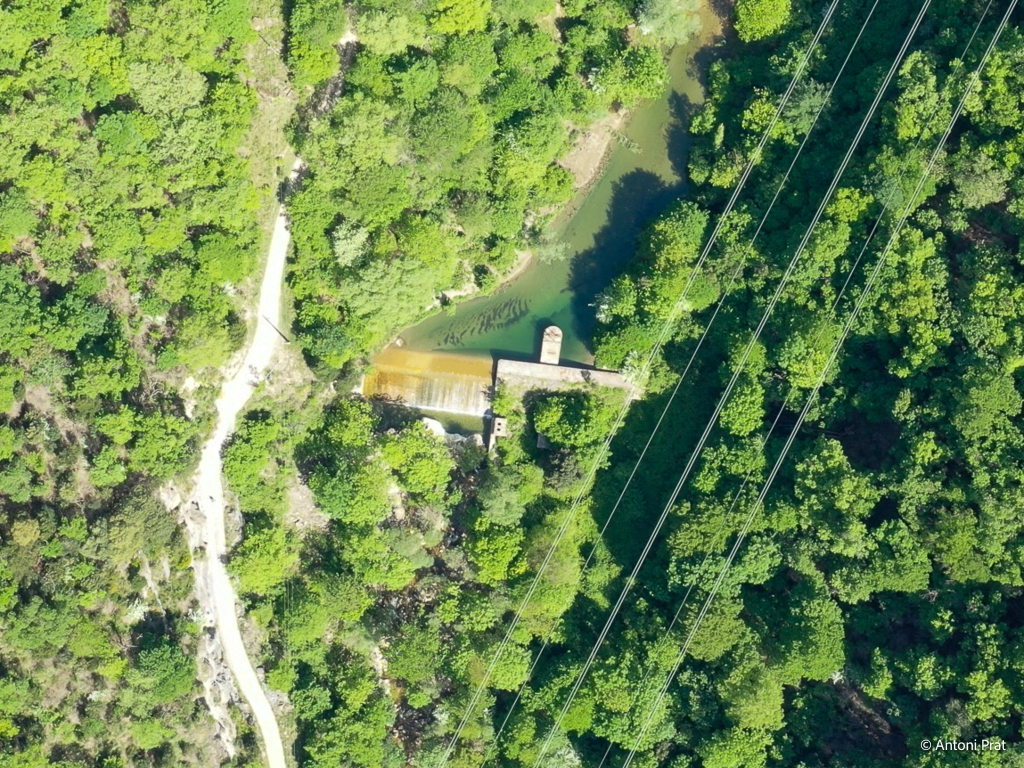 Forat Micó 12