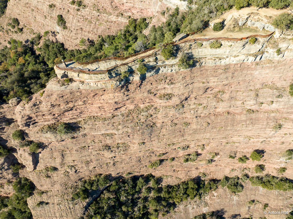 DJI_0549