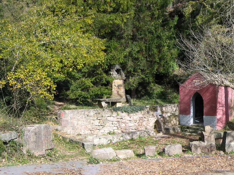 IMG_7316 7317